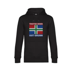 GRONINGEN hoodie heren