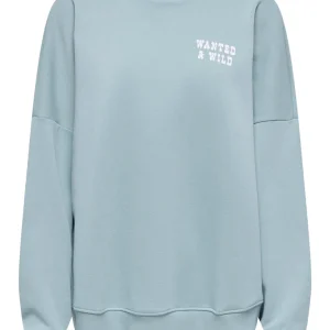 Onlstina L/s Lovely O-neck Box Swt - Lichtblauw