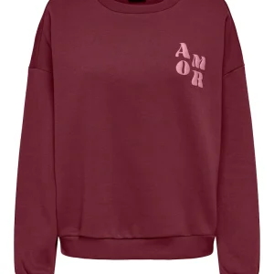 Onlmarey L/s O-neck Print Box Cs Swt - Bordeaux