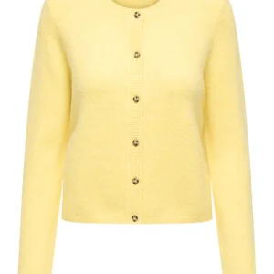 Jdychloe Life L/s Cardigan Knt Noos - Geel