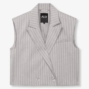 Pinstripe Wastcoat - Grijs Dessin