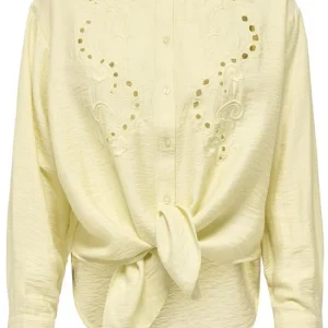 Onlbirona Lino L/s Tie Shirt Wvn Sud - Geel