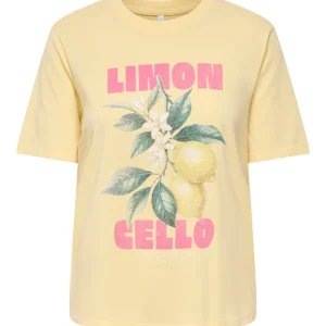 Onllucy Monja Ss Top Jrs Noos - Geel