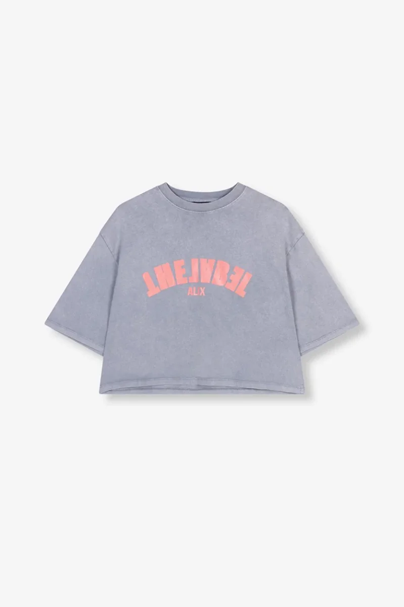 The Label T-shirt - Grijs - Afbeelding 2